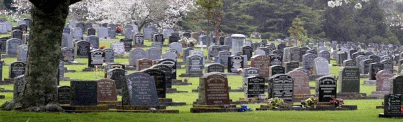 Bell Block Anglican cemetery