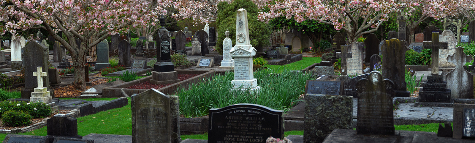 Te Henui cemetery