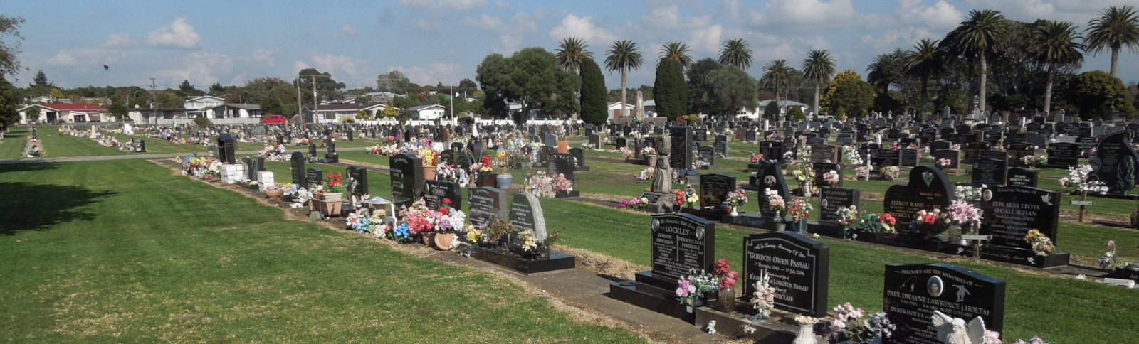 Waitara cemetery